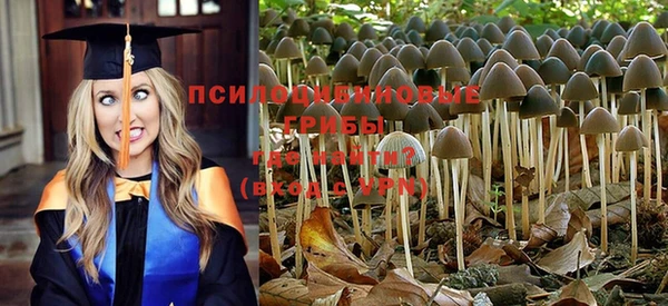 дживик Рославль