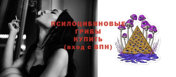 спайс Баксан